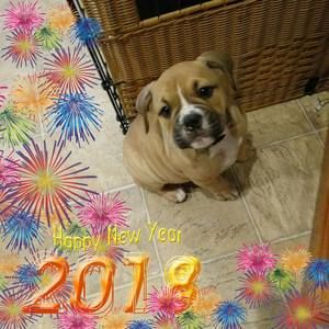 Meet your Posher, Kelly